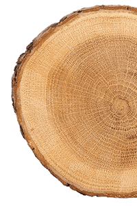 Holz